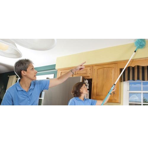 Image for Dunn-Right Custom Maid Services with ID of: 1674983