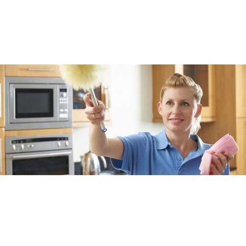 Image for Dunn-Right Custom Maid Services with ID of: 1674992