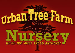 Image for Urban Tree Farm Nursery with ID of: 1675824