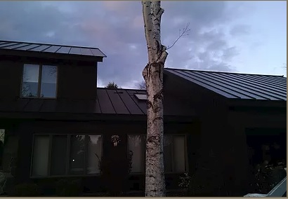 Image for Stella Construction & Home Services with ID of: 1676353