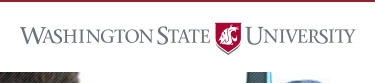 Image for Washington State Online MBA Program with ID of: 1676395