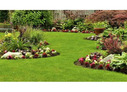 Image for DEW Enterprises LLC with ID of: 1676558