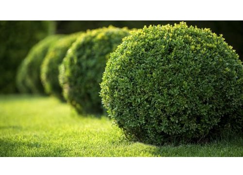 Image for DEW Enterprises LLC with ID of: 1676561