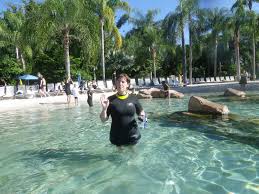 Image for Salt Water Pool Crew with ID of: 1678126