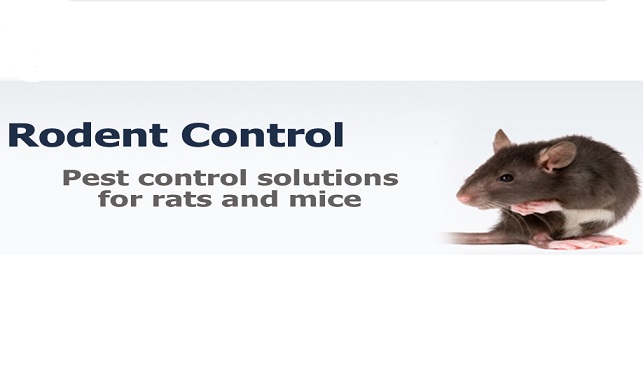 Image for Pest Control & Exterminator of Orange County with ID of: 1678252