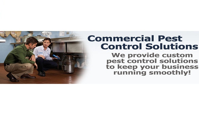 Image for Pest Control & Exterminator of Orange County with ID of: 1678260