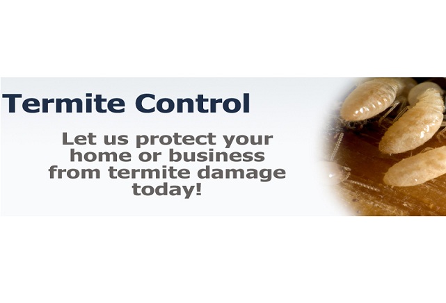 Image for Pest Control & Exterminator of Orange County with ID of: 1678263
