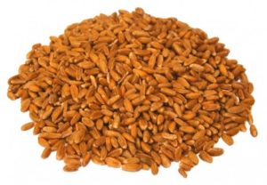 Image for Grain Suppliers UK with ID of: 1680145