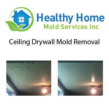 Image for Healthy Home Mold Services Inc with ID of: 1680287