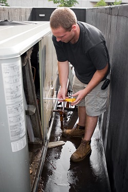 Image for Scottsdale Electrician with ID of: 1681525