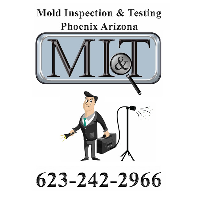 Image for Mold Inspection & Testing Phoenix AZ with ID of: 1681566