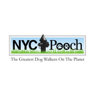 Image for NYC POOCH with ID of: 1681954