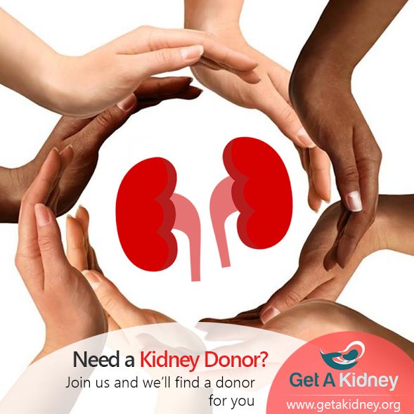 Image for Kidney Donor Match with ID of: 1682629