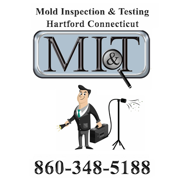 Image for Mold Inspection & Testing Hartford CT with ID of: 1682752