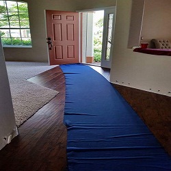 Image for Synergy Moving with ID of: 1683342