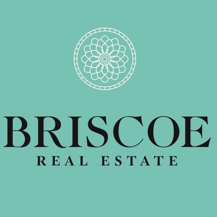 Image for Briscoe Real Estate with ID of: 1684205
