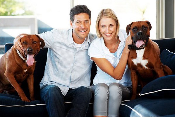 Image for Styles Carpet Cleaning with ID of: 1684778