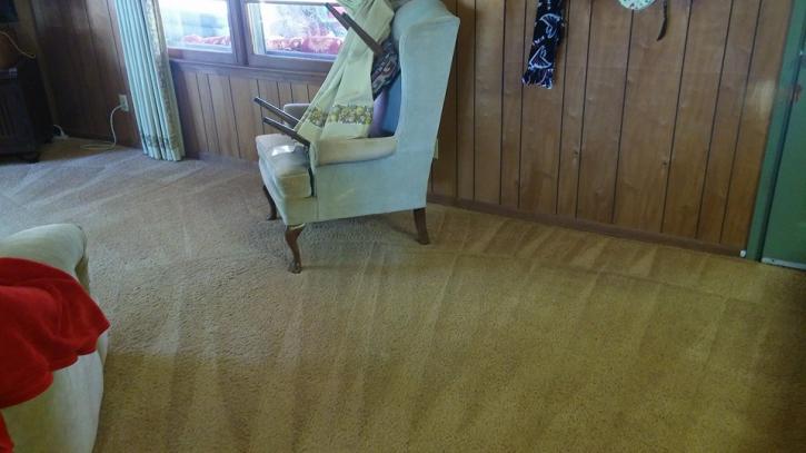 Image for Styles Carpet Cleaning with ID of: 1684781