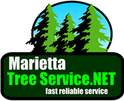 Image for Marietta Tree Service, Inc. with ID of: 1685056