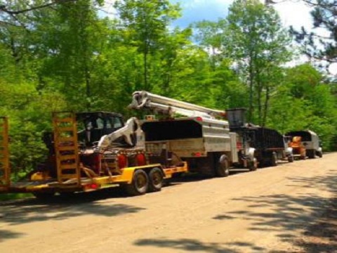 Image for Vermont Arborists with ID of: 1686576