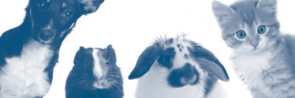 Image for Zen Pet Care Services with ID of: 1687459