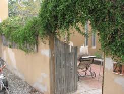 Image for Stucco Installation Crew with ID of: 1688506