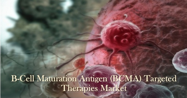 Image for B-Cell Maturation Antigen (BCMA) Targeted Therapies Market - Global Industry Insights, Trends and Analysis, 2016-2024 with ID of: 1688818