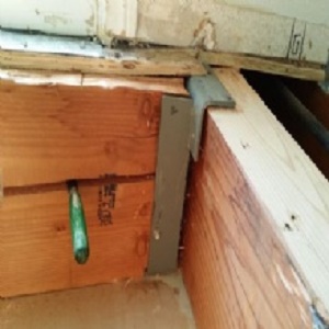 Image for The Squeaky Floor Doctor with ID of: 1691797