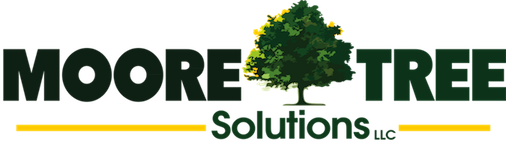 Image for Moore Tree solutions with ID of: 1691833