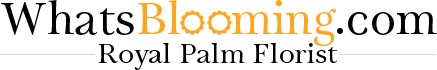 Image for Royal Palm Florist with ID of: 1692393