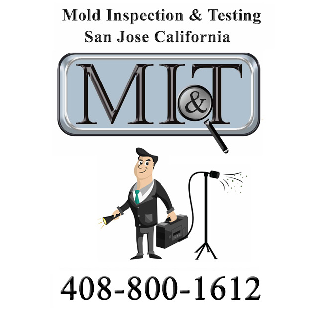 Image for Mold Inspection & Testing San Jose CA with ID of: 1692541