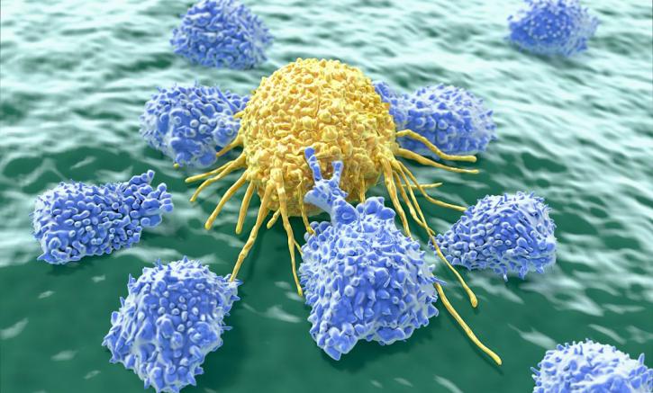 Image for Personalized Cell Therapy Market - Industry Analysis, Size, Share, Growth, Trends and Forecast to 2024 with ID of: 1694136