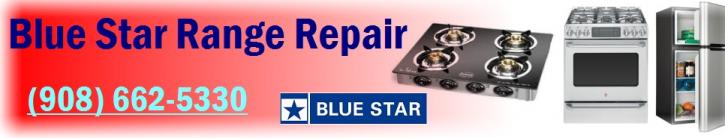 Image for Blue Star Range Repair with ID of: 1695415