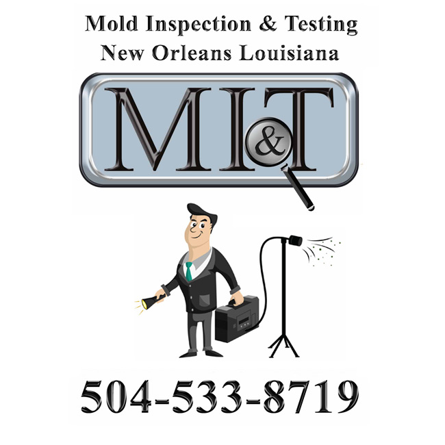 Image for Mold Inspection & Testing New Orleans LA with ID of: 1696109