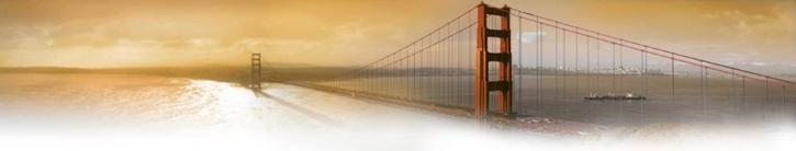 Image for Chopra Financial Services with ID of: 1696958