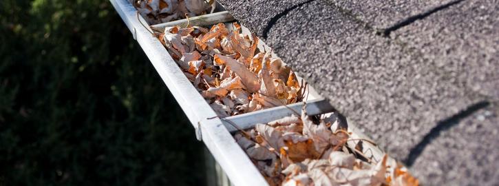 Image for Mile High Seamless Gutters, Inc. with ID of: 1697164