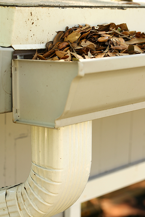 Image for Mile High Seamless Gutters, Inc. with ID of: 1697165