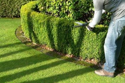 Image for CDA Lawn Care with ID of: 1699352