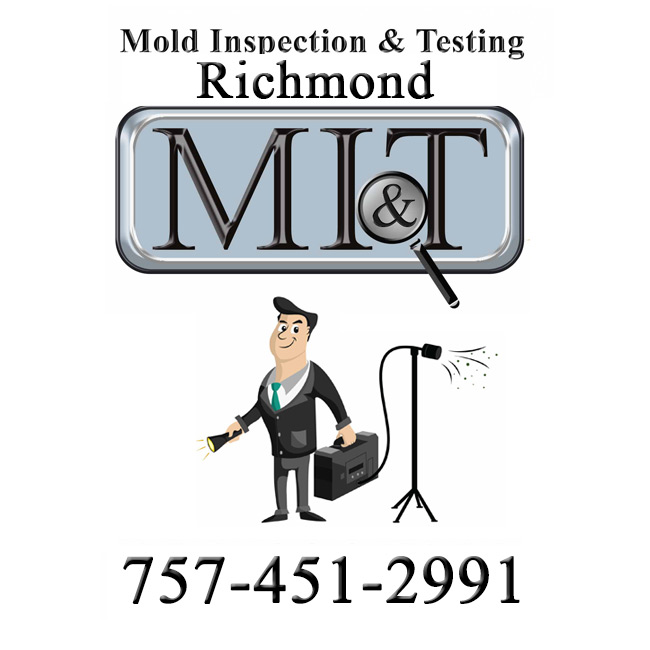 Image for Mold Inspection & Testing Richmond with ID of: 1702783