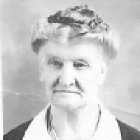 Image for The Care Navigator with ID of: 1703281