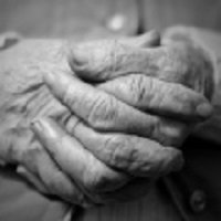 Image for The Care Navigator with ID of: 1703287