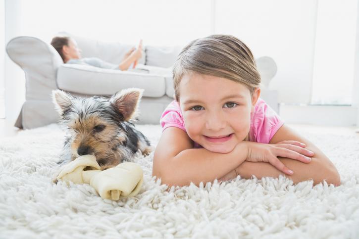 Image for Ann Arbor Carpet and Floors with ID of: 1703864