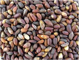 Image for Pebble Guys with ID of: 1704854