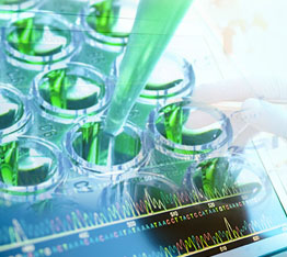 Image for Companion Diagnostics Market, By Application, Technology, and Geography - Trends, Analysis and Forecast till 2024 with ID of: 1705012