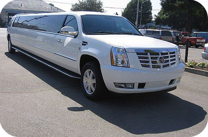 Image for Limousine & Party Bus Services with ID of: 1705929