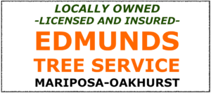 Image for Edmunds Tree Service with ID of: 1707428