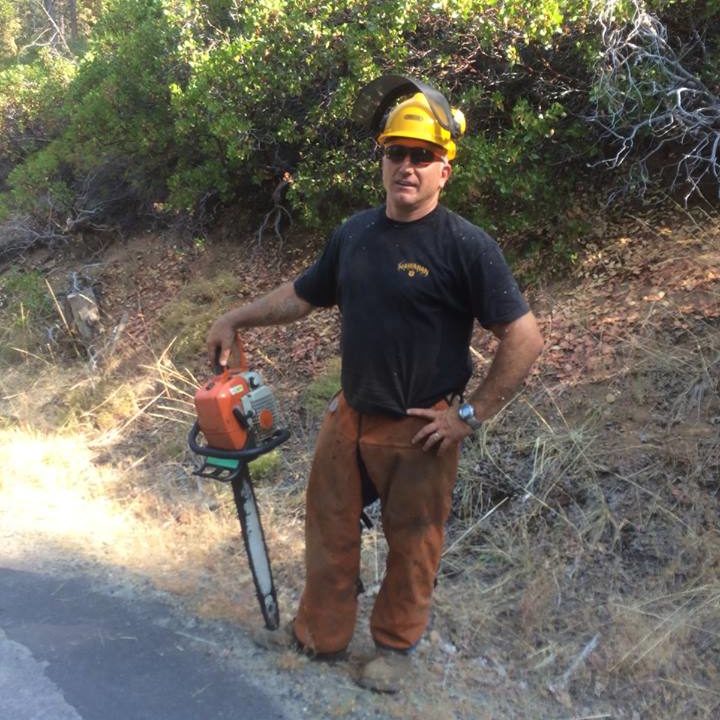 Image for Edmunds Tree Service with ID of: 1707430