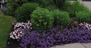 Image for Lawn Treatment Guys with ID of: 1708064