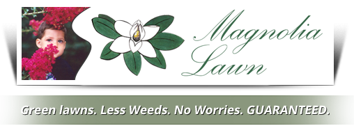 Image for Magnolia Lawn Inc with ID of: 1708388