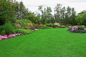 Image for Lawn Maintenance Guys with ID of: 1708511